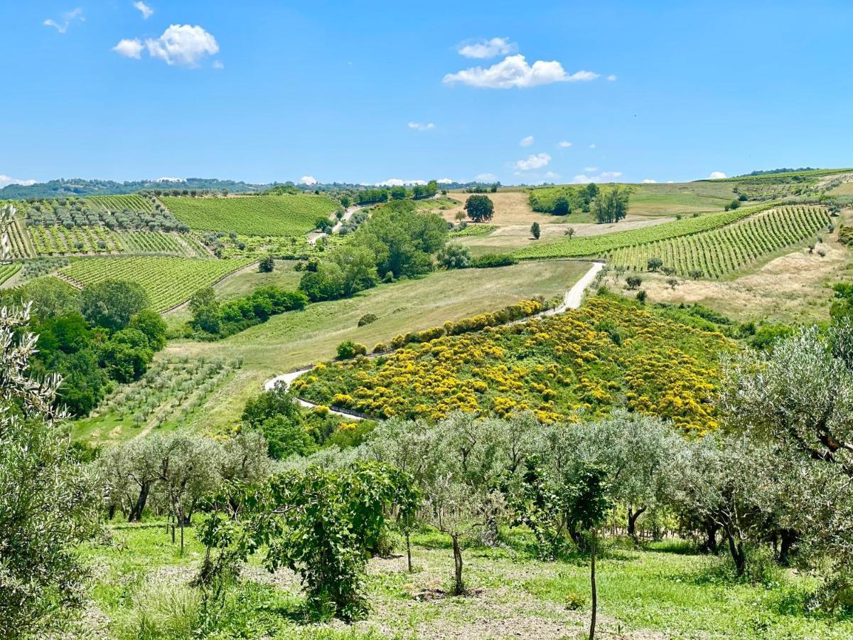 Agriturismo Le Masciare Paternopoli Kültér fotó