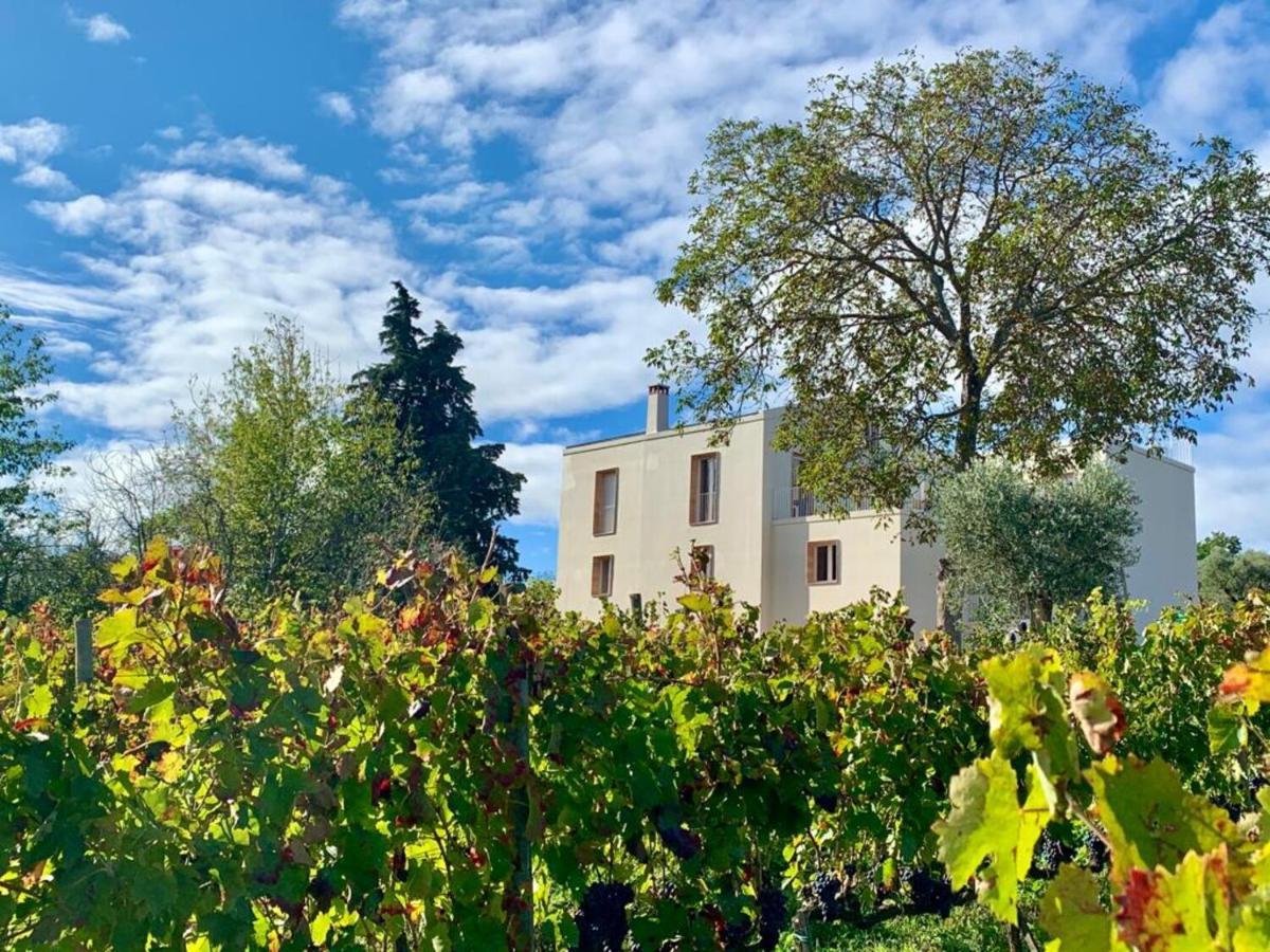 Agriturismo Le Masciare Paternopoli Kültér fotó